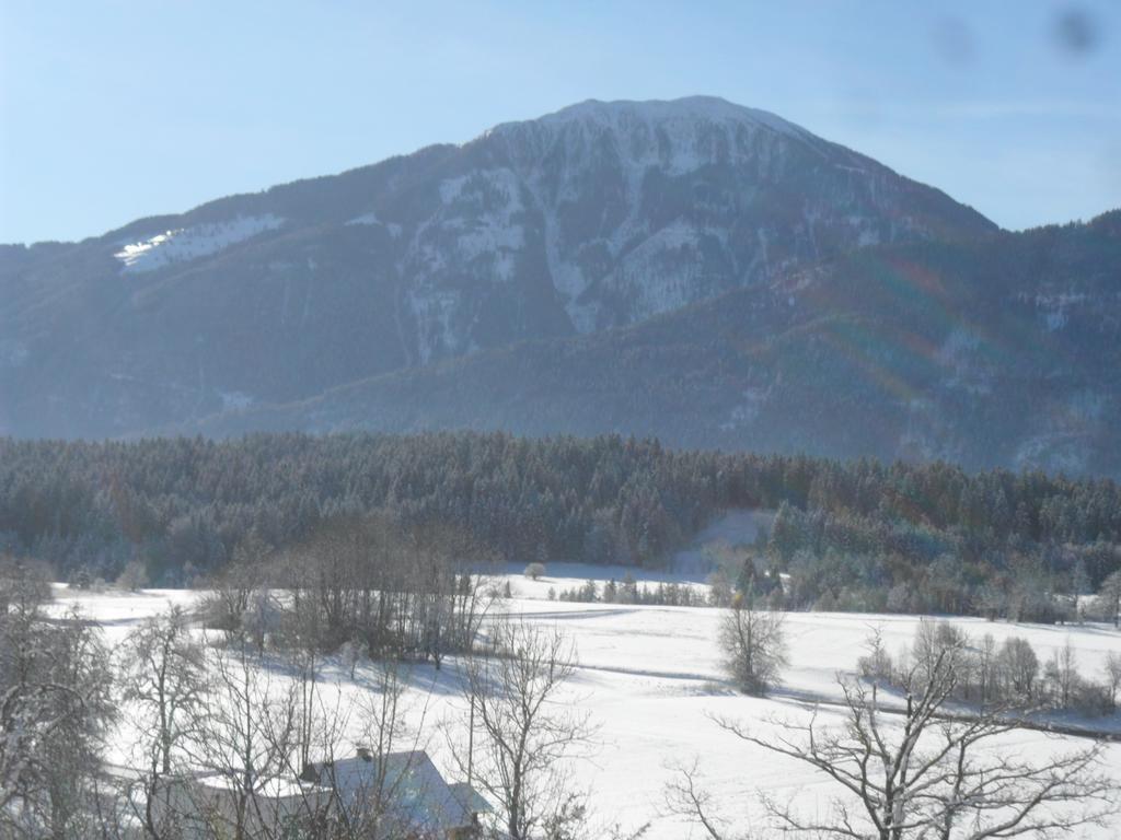 Ferienwohnung Ferienhaus Warmuth Sankt Stefan an der Gail Exterior foto